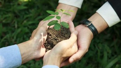 انتخاب شغل در قرآن و بهترین شغل در اسلام