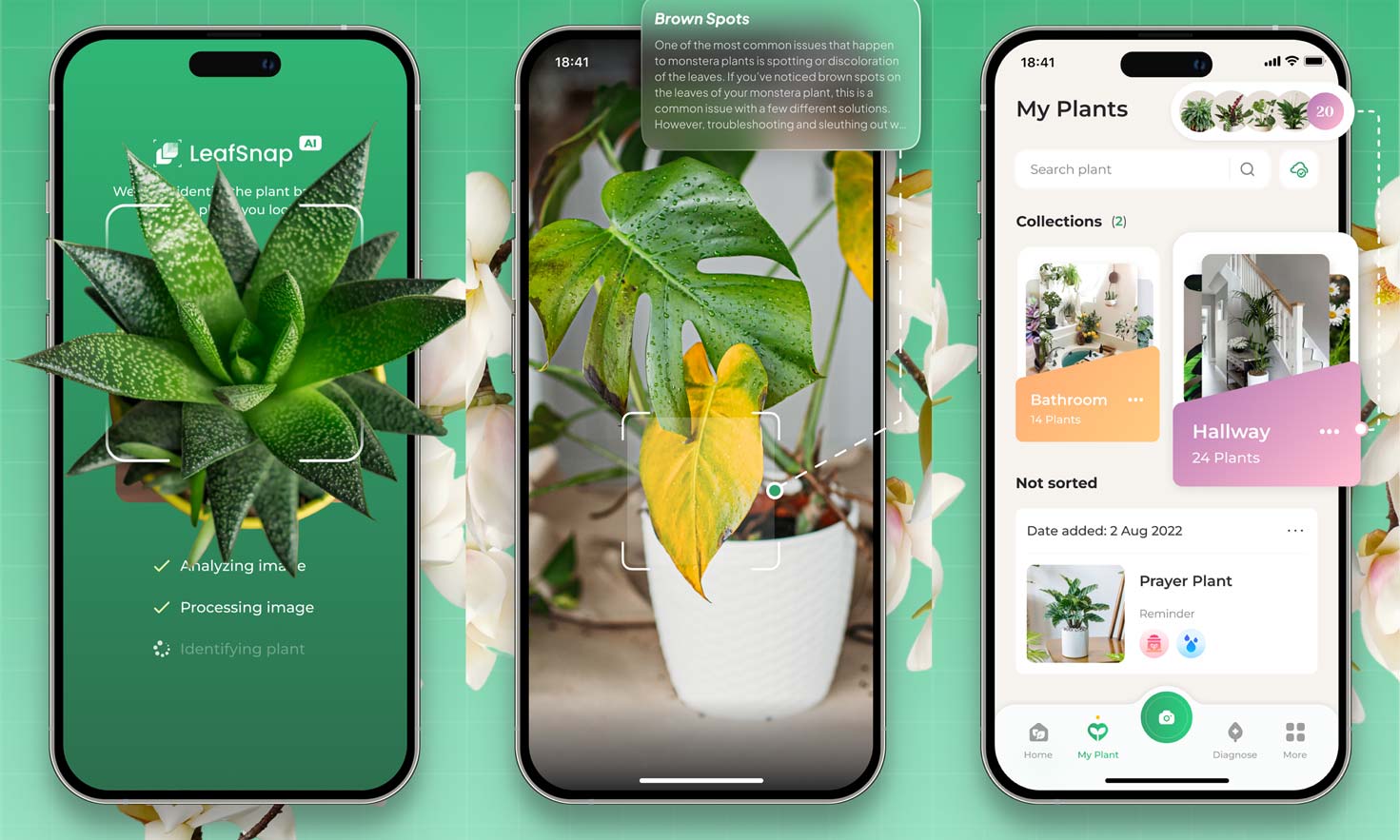 لیف اسنپ (LeafSnap)